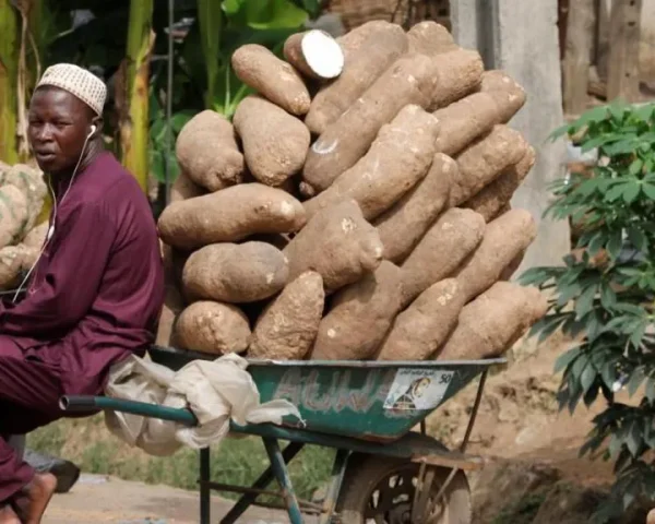 Nigeria’s major tax overhaul explained