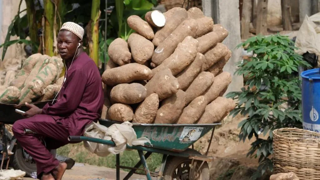 Yam Seller